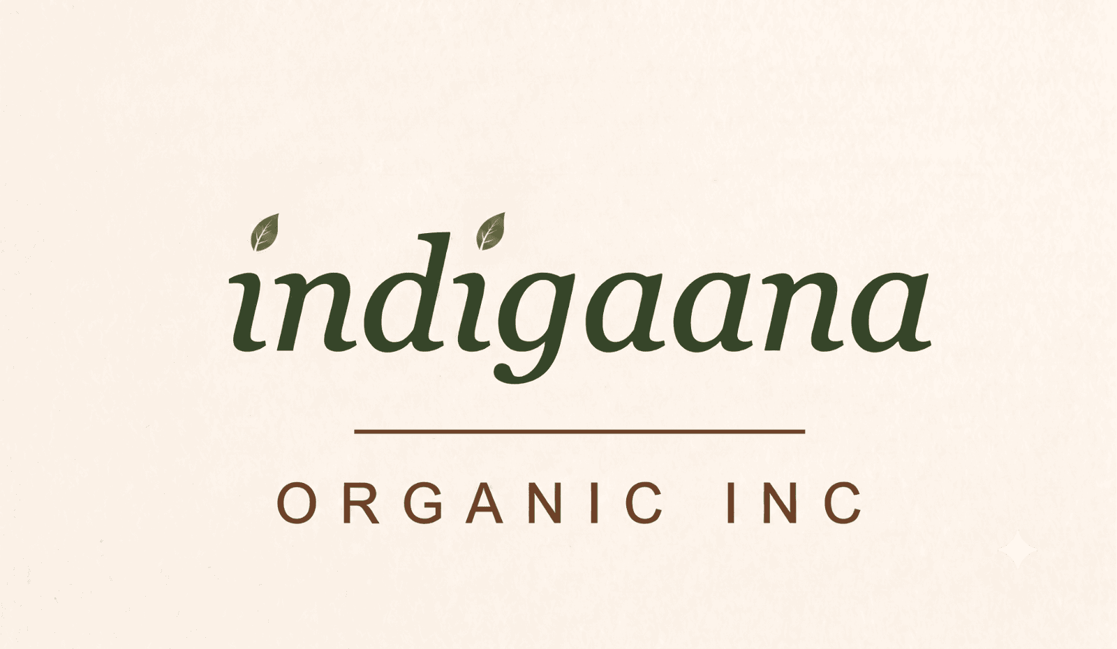 indigaana.in